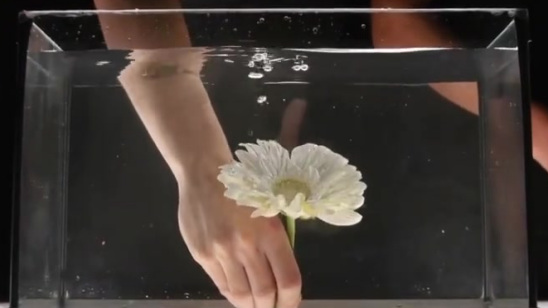 国外创意团队Macro Room,利用模型,颜料等各类素材在鱼缸里制造梦幻场景,真的都太美